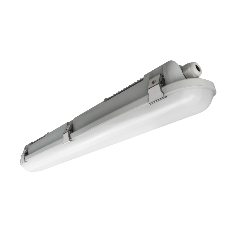 LG06M AC220-240V DIMMable LED-TROof Light