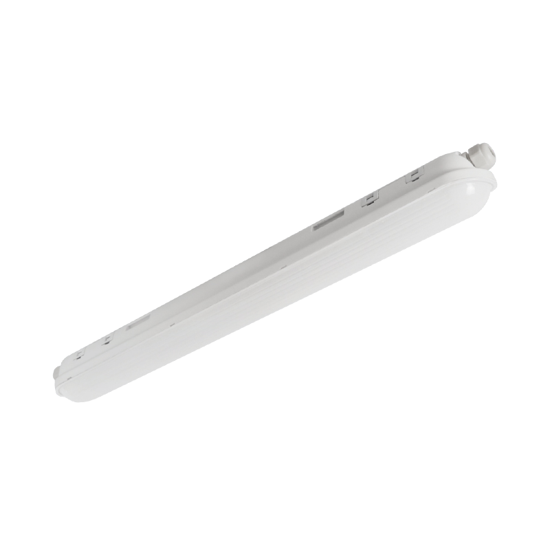 LG06R LP65 LEUR LED-TRI-TORof LED à haute intensité
