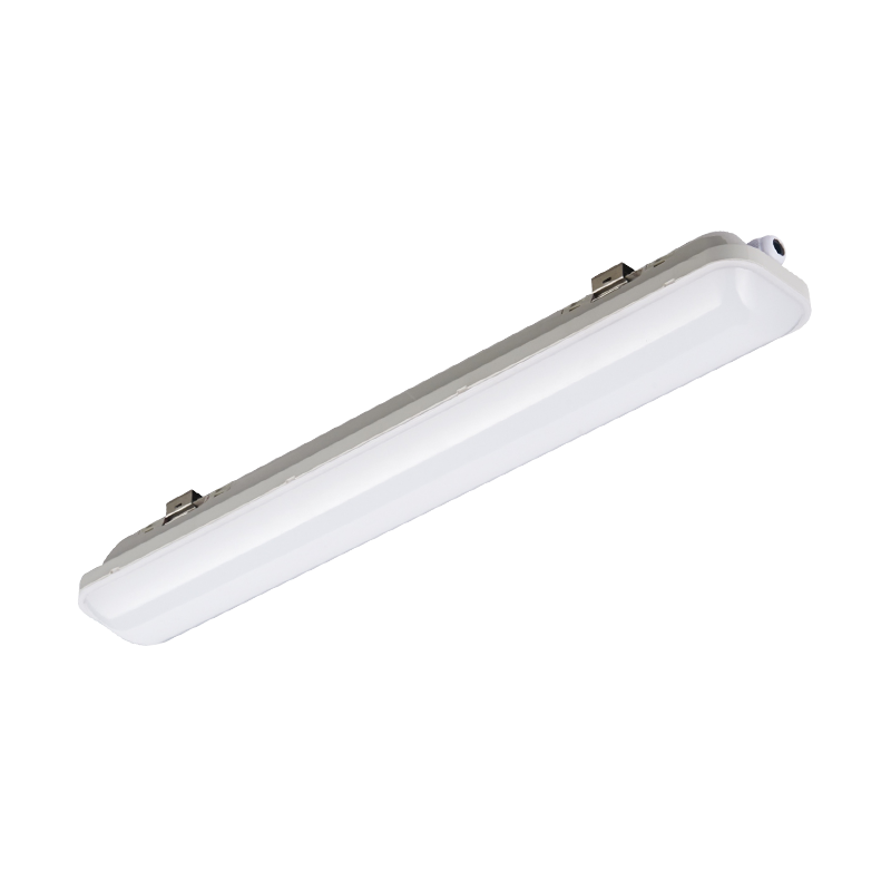 LG06A IP65 LED-feuille à feu LED pour les environnements à basse température