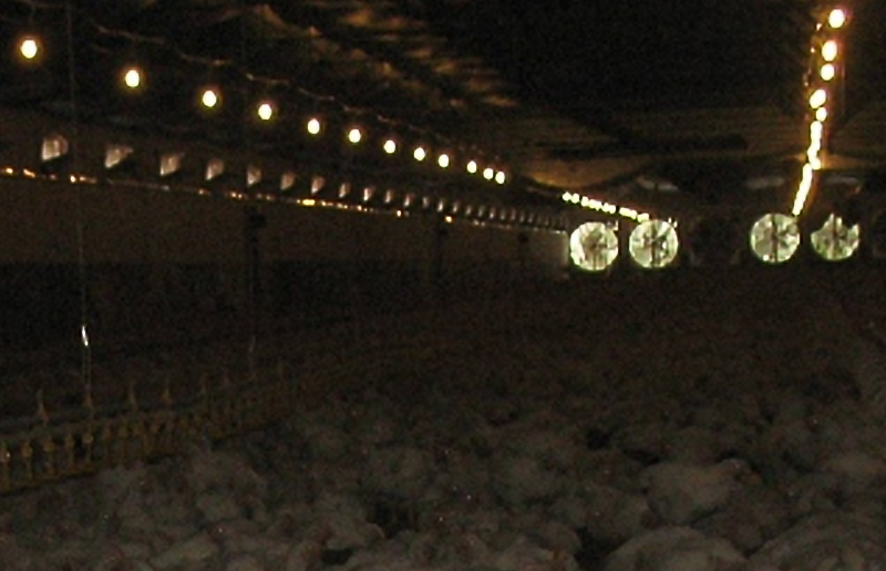 LED LED LG08K